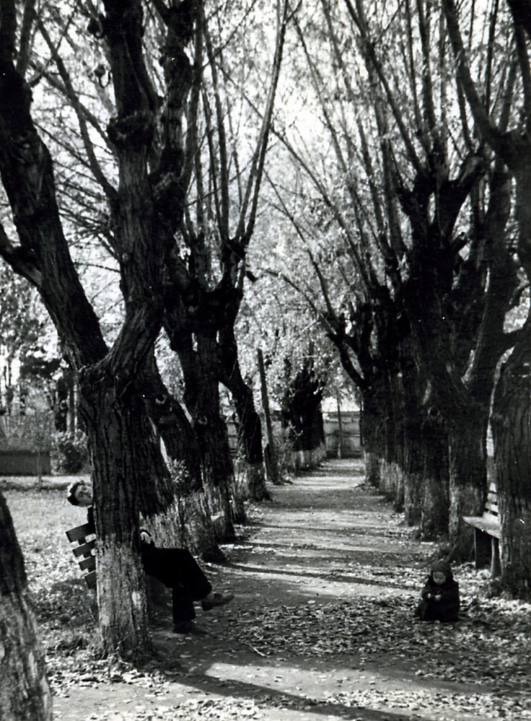 ТМ-6767. Аллея в городском парке им. Горького на Вые. 1953 г_.jpg