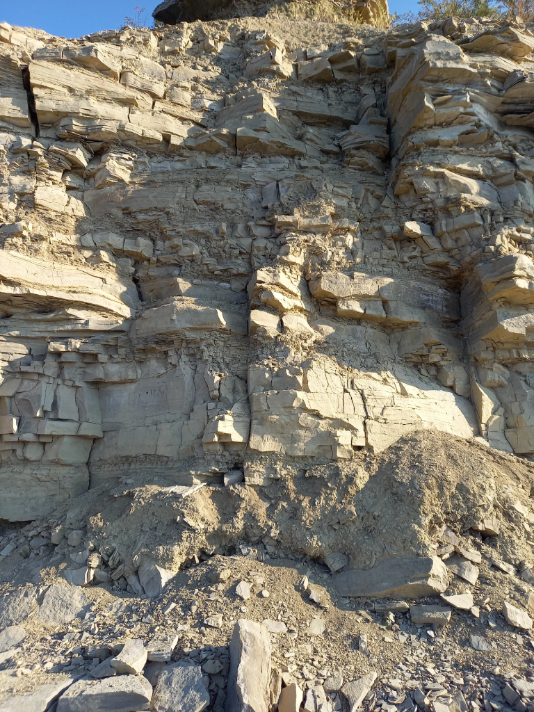 Выходы коренных горных пород пермского периода на территории мыса Стрелка