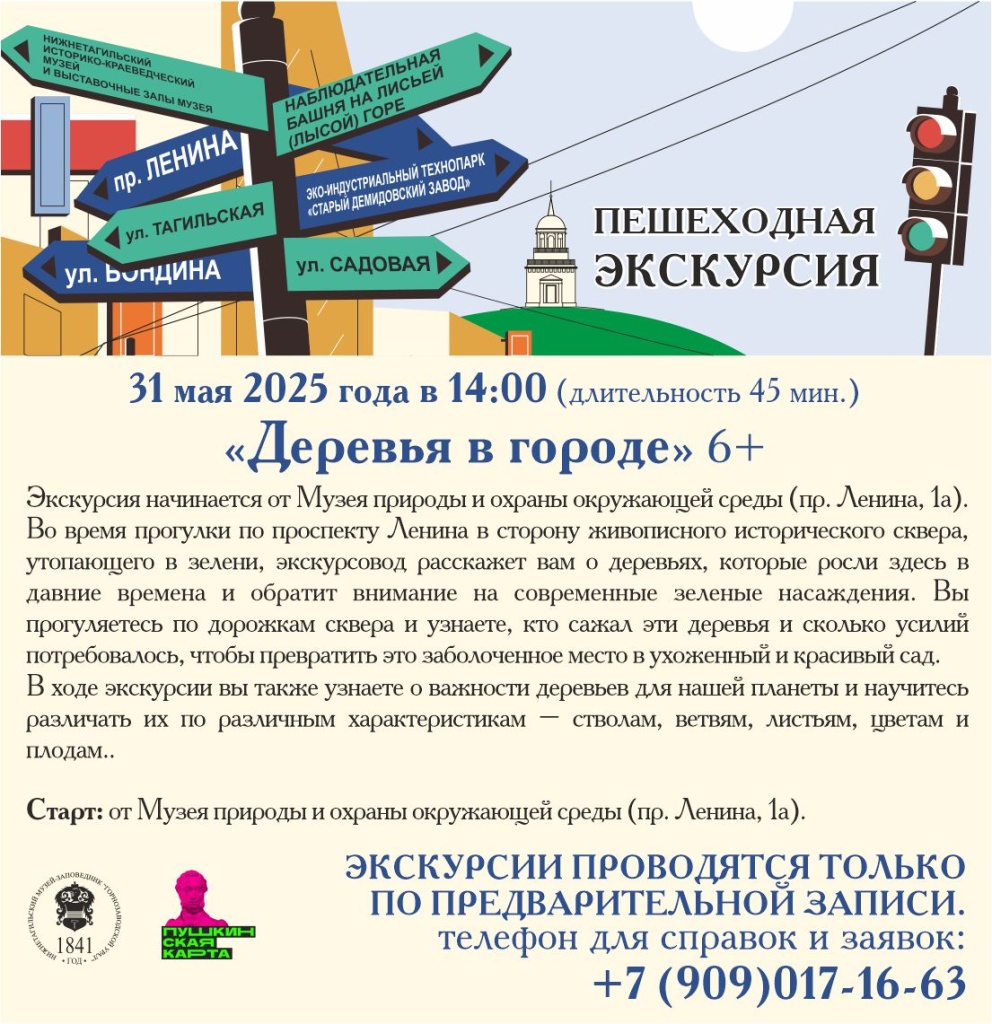 пЛАШКА Пешеходки 31.05.jpg