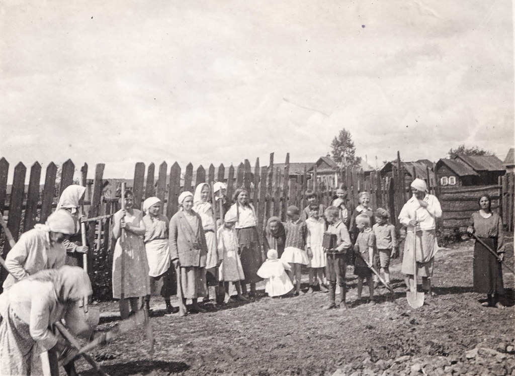 6. НВ-3297-4. Озеленение улиц. 1930-е гг..jpg